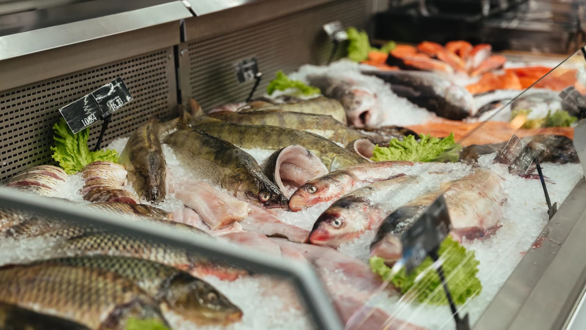 Software de ponto de venda para peixarias